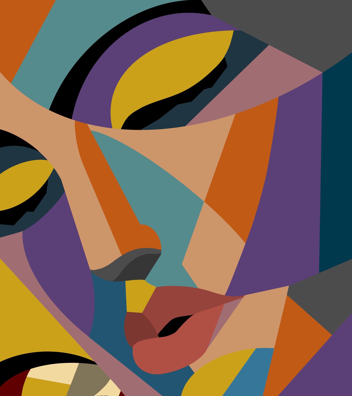 I've Just Seen a Face - Canvas Print
